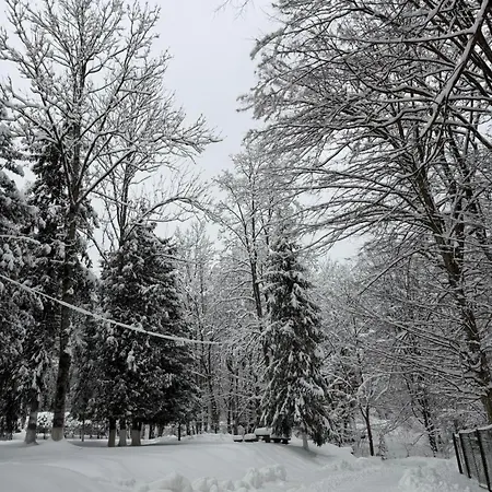 зоряне сяйво Daire