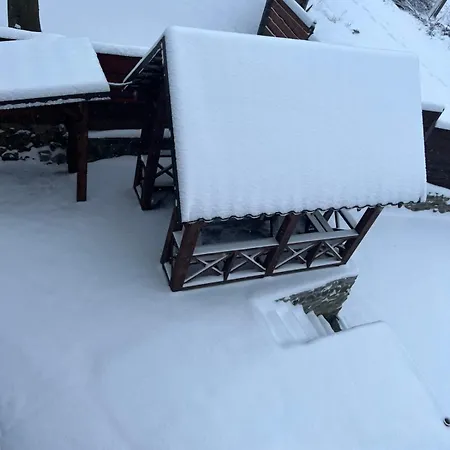 зоряне сяйво Daire