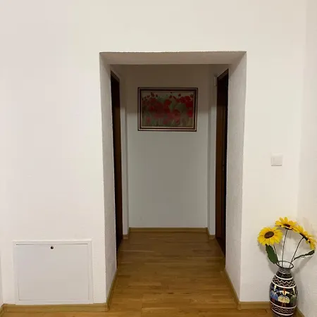 Daire зоряне сяйво