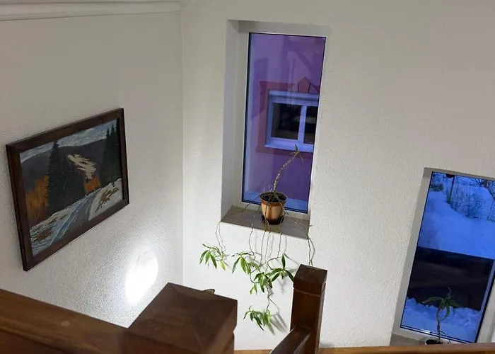Appartement зоряне сяйво