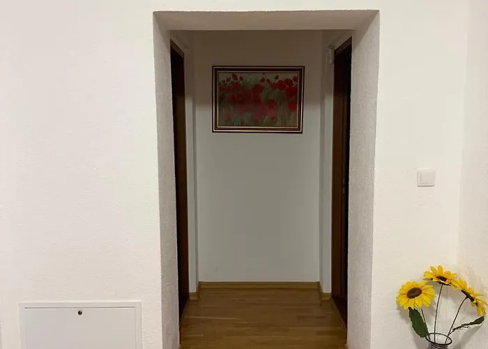 Appartement зоряне сяйво